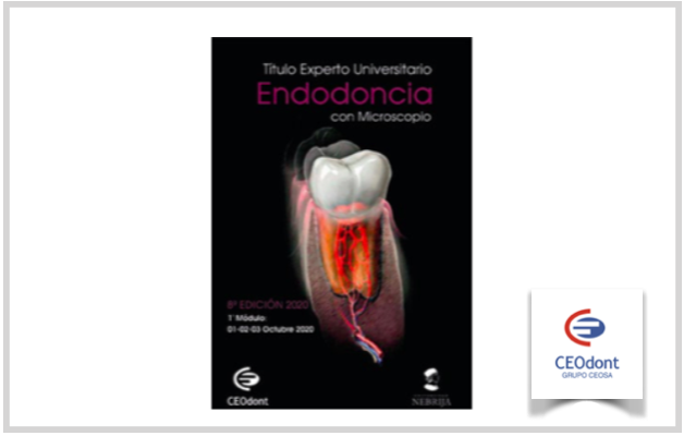 Formação em Endodontia