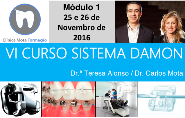 VI Curso Sistema Damon