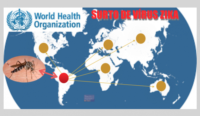 OMS estuda declarar emergência mundial devido ao surto do vírus Zika