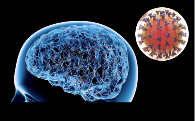 Novas pesquisas mostram que a COVID-19 impacta negativamente a função de memória