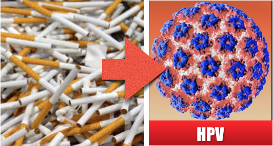 INVESTIGAÇÕES LIGAM O CONSUMO DE TABACO A UM RISCO MAIOR DE INFEÇÃO ORAL POR HPV 